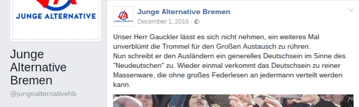 Screenshot eines Beitrags der Jungen Alternative Bremen mit dem Begriff großer Austausch.